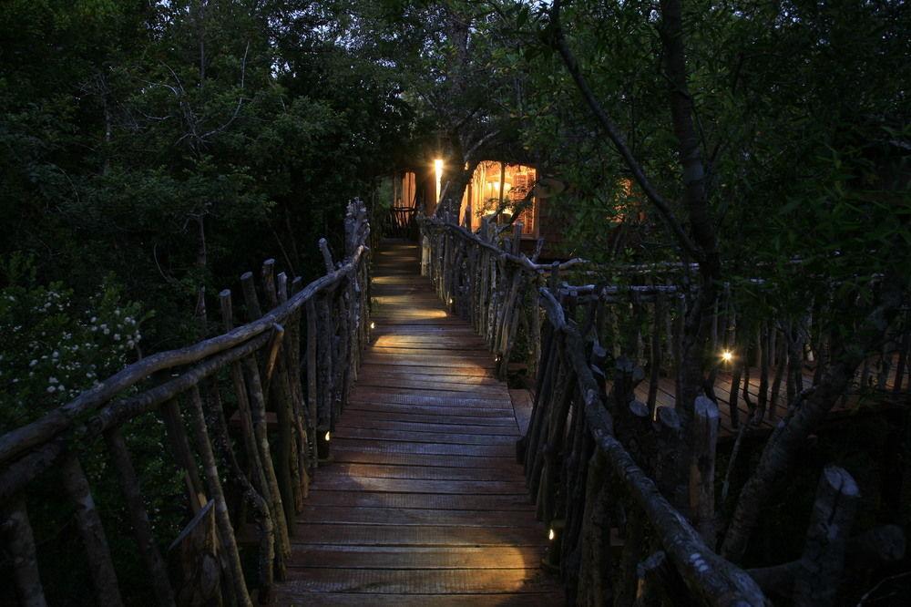 Tree Lodge Nidos De Pucón Extérieur photo