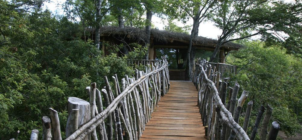Tree Lodge Nidos De Pucón Extérieur photo