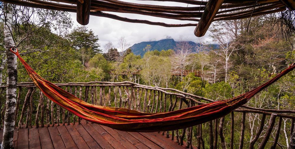 Tree Lodge Nidos De Pucón Extérieur photo