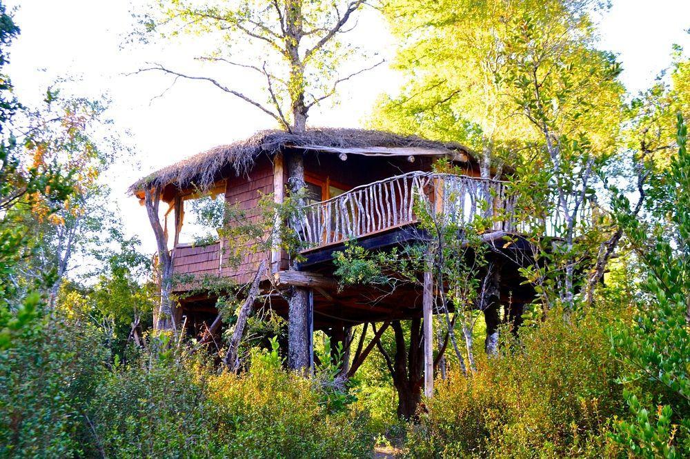Tree Lodge Nidos De Pucón Extérieur photo