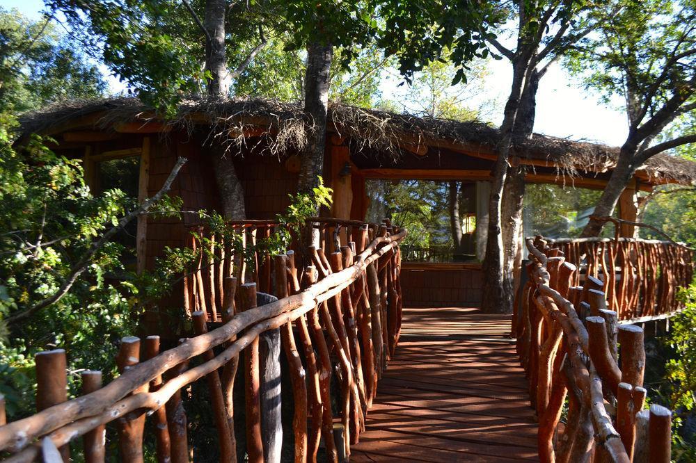 Tree Lodge Nidos De Pucón Extérieur photo
