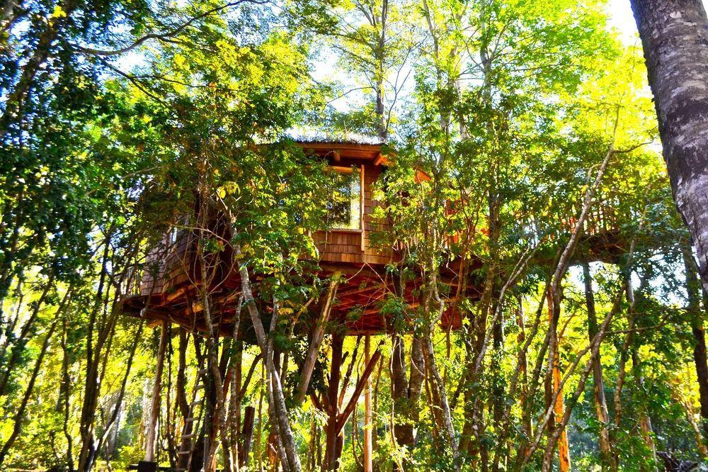 Tree Lodge Nidos De Pucón Extérieur photo