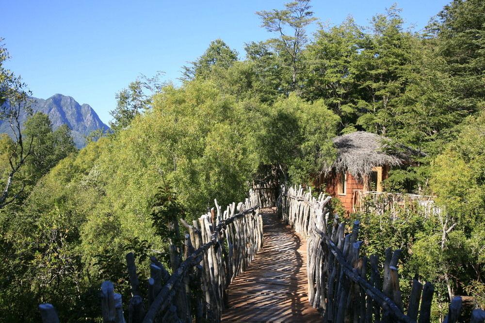 Tree Lodge Nidos De Pucón Extérieur photo