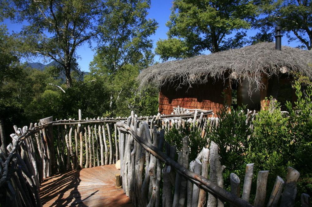 Tree Lodge Nidos De Pucón Extérieur photo