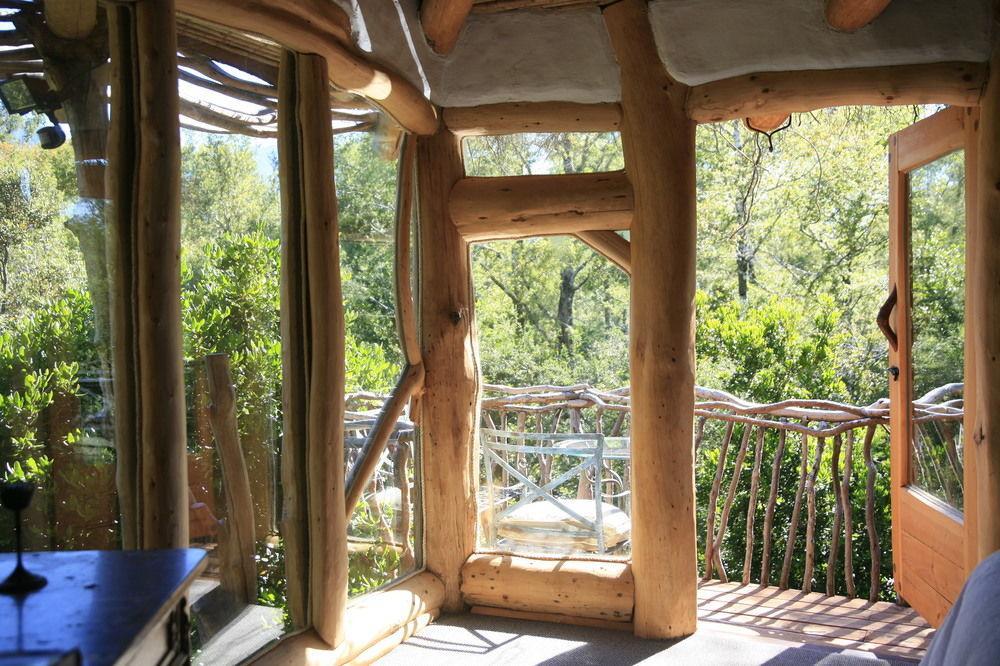 Tree Lodge Nidos De Pucón Extérieur photo
