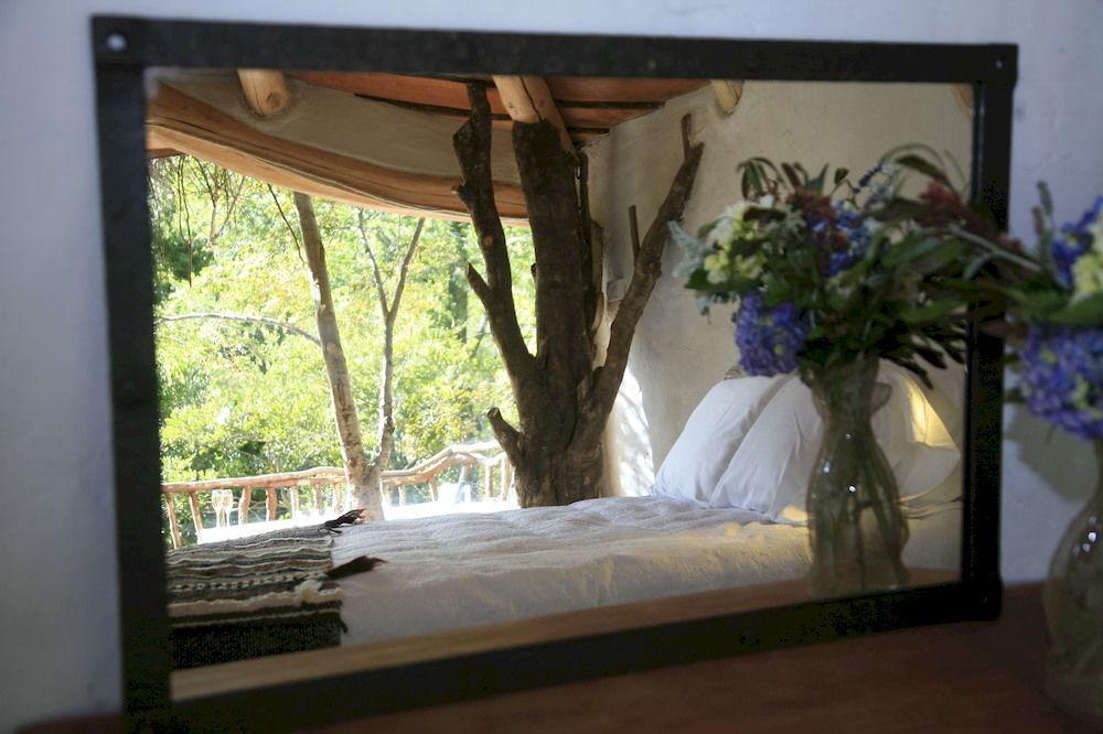 Tree Lodge Nidos De Pucón Extérieur photo