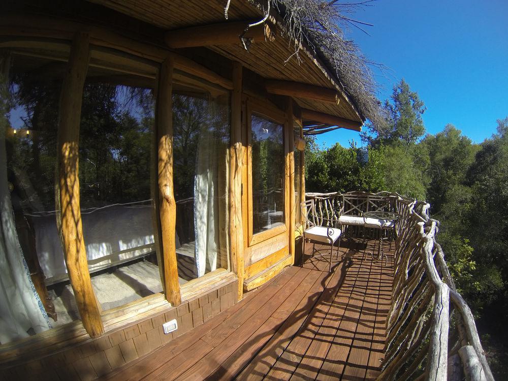 Tree Lodge Nidos De Pucón Extérieur photo