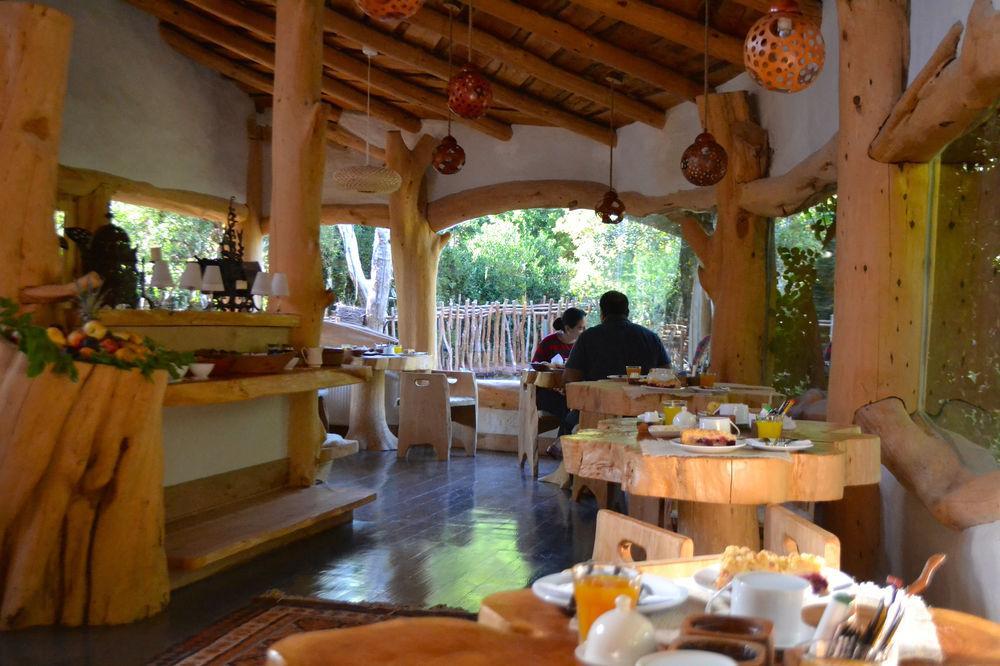 Tree Lodge Nidos De Pucón Extérieur photo