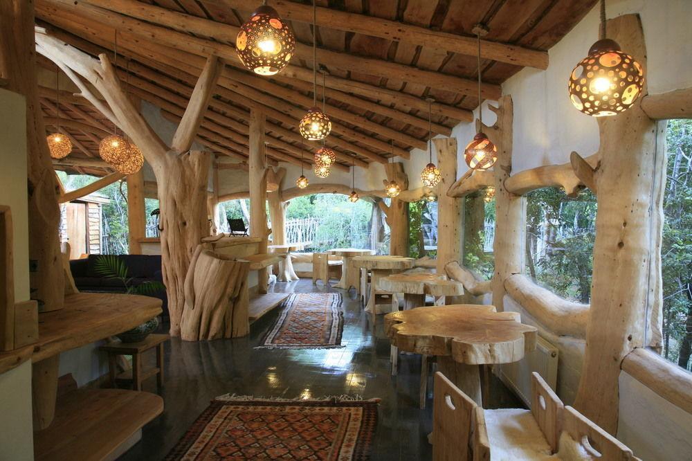 Tree Lodge Nidos De Pucón Extérieur photo