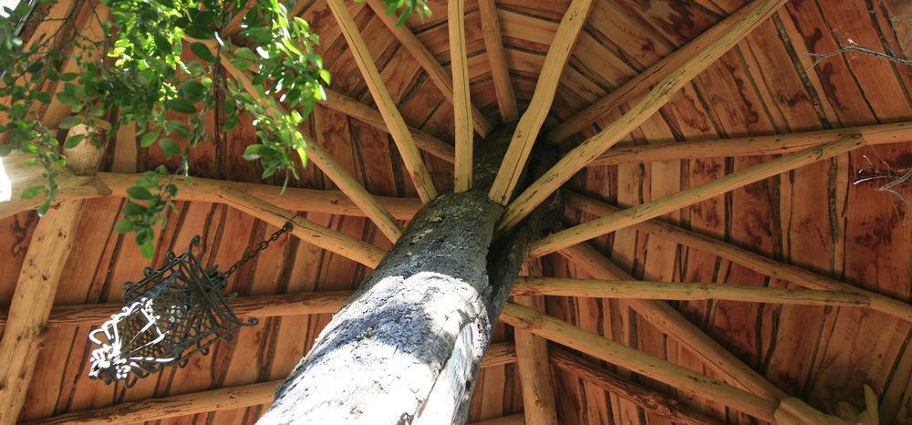 Tree Lodge Nidos De Pucón Extérieur photo