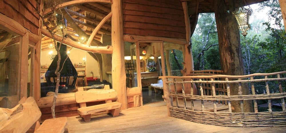 Tree Lodge Nidos De Pucón Extérieur photo